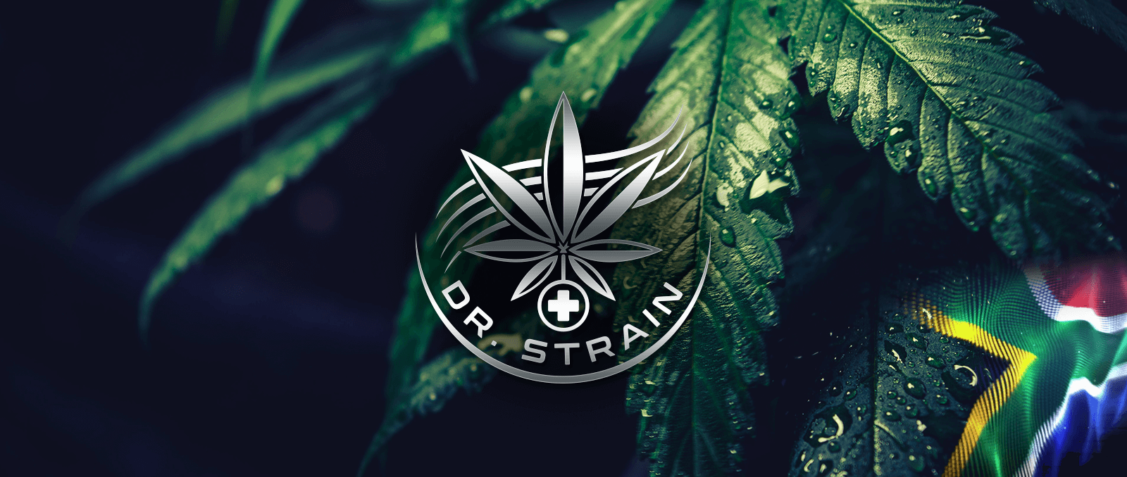 dr-g-strain-banner-1.1