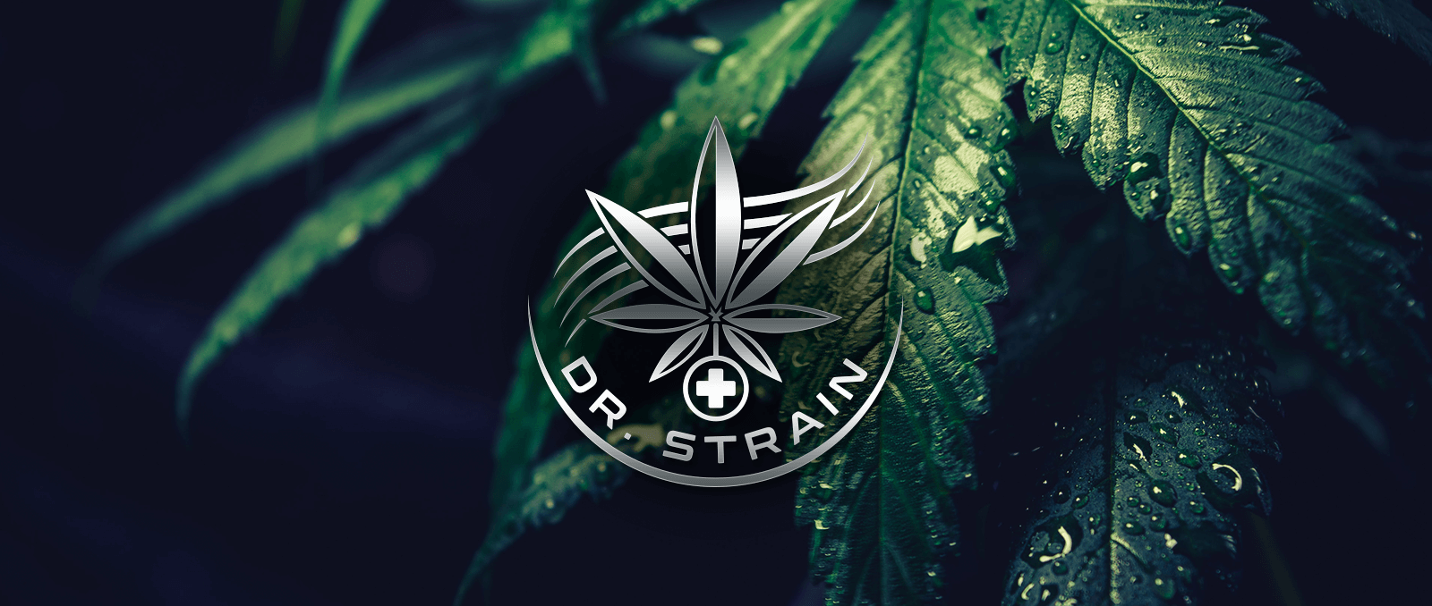 dr-g-strain-banner-1