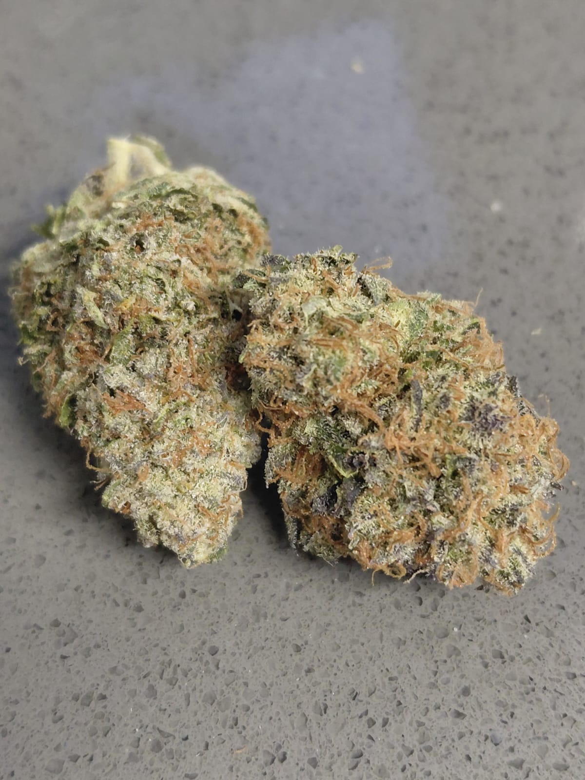 Glue Berry